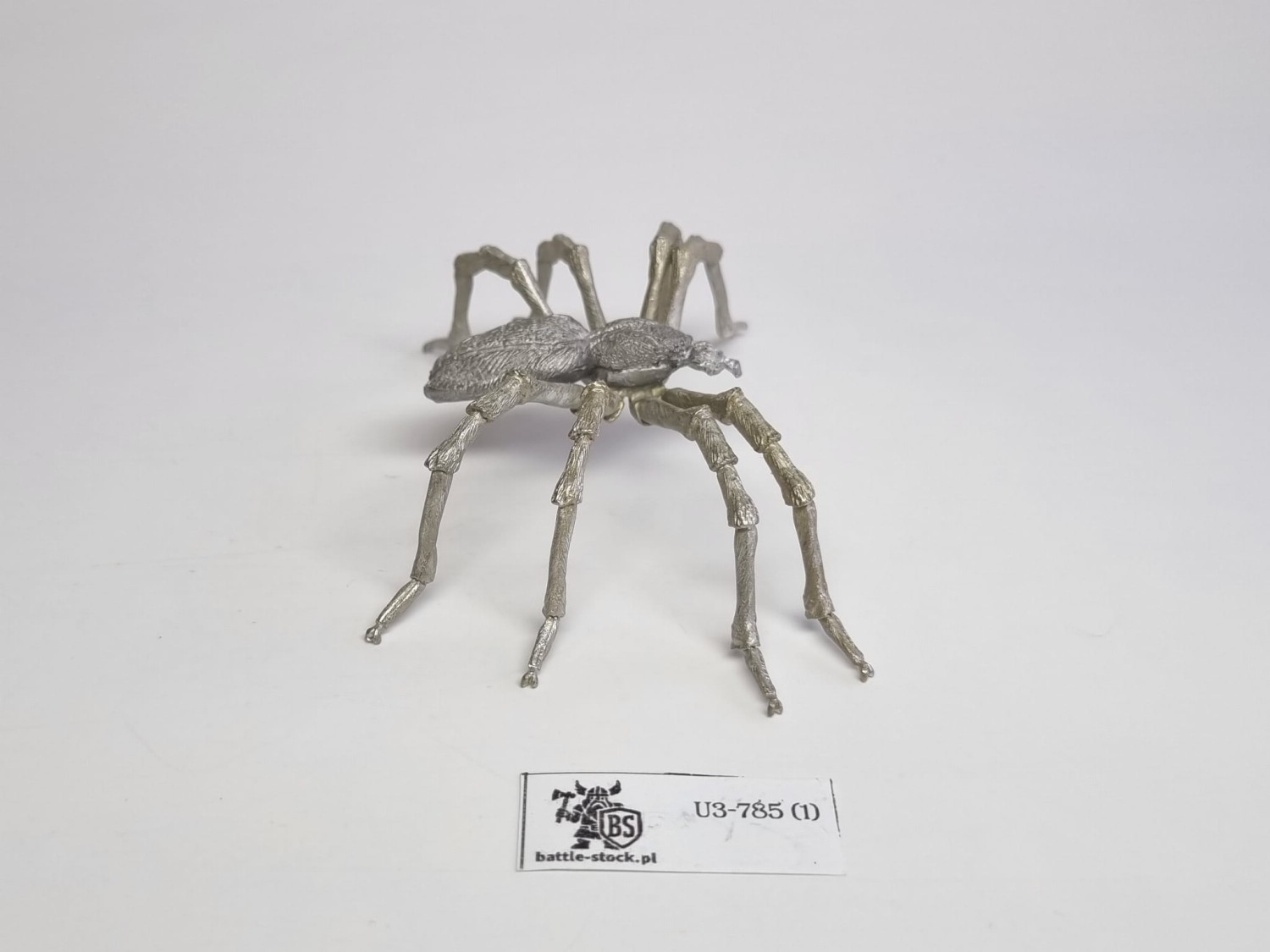 harlequin spider