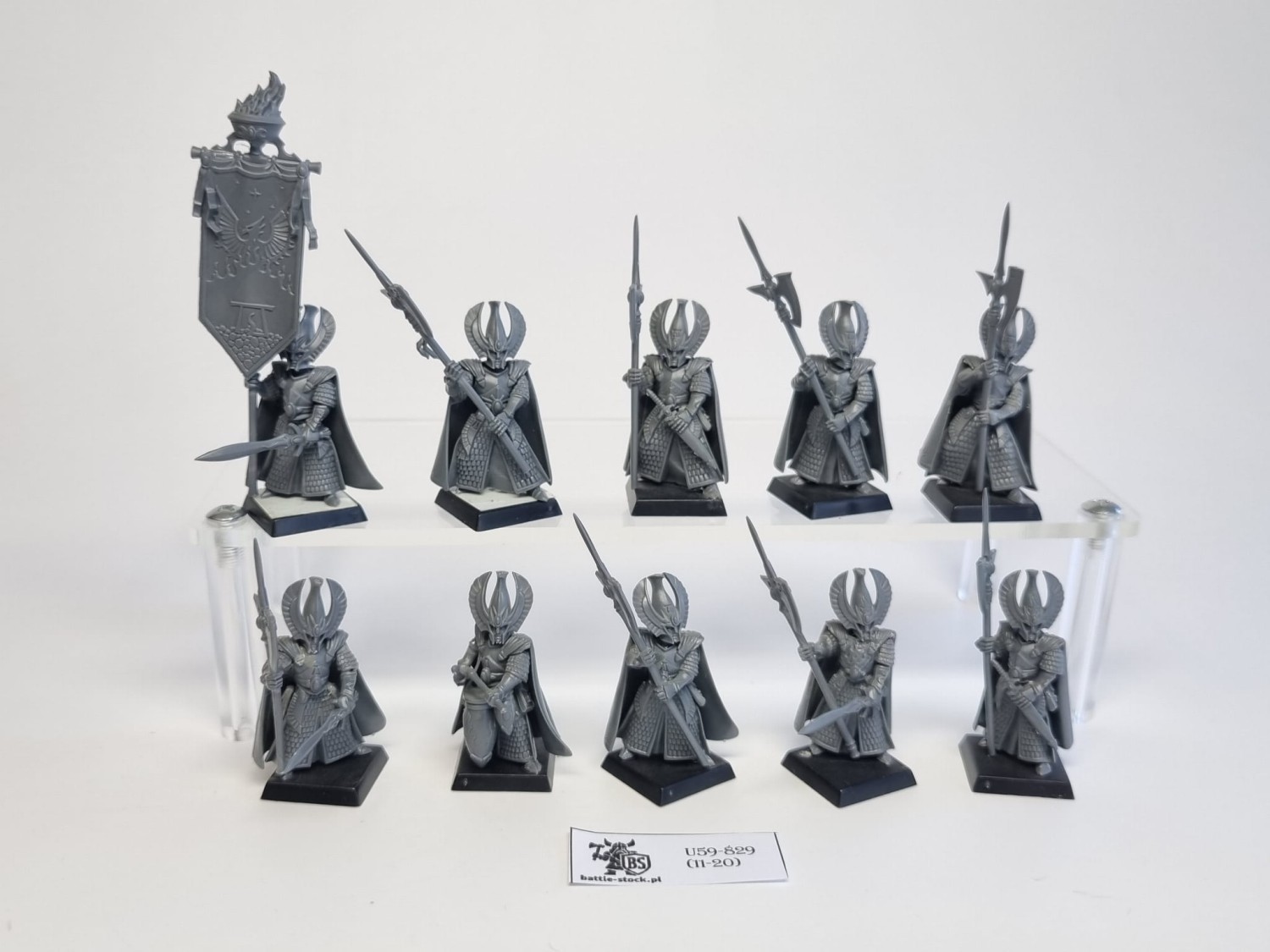 WFB phoenix guard plastic