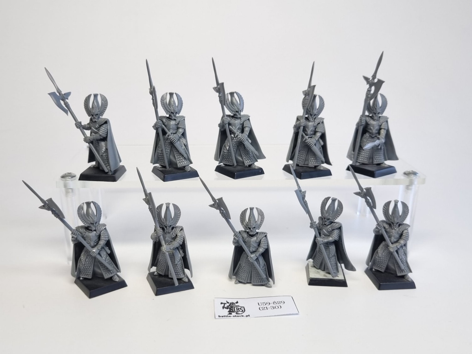 WFB phoenix guard plastic