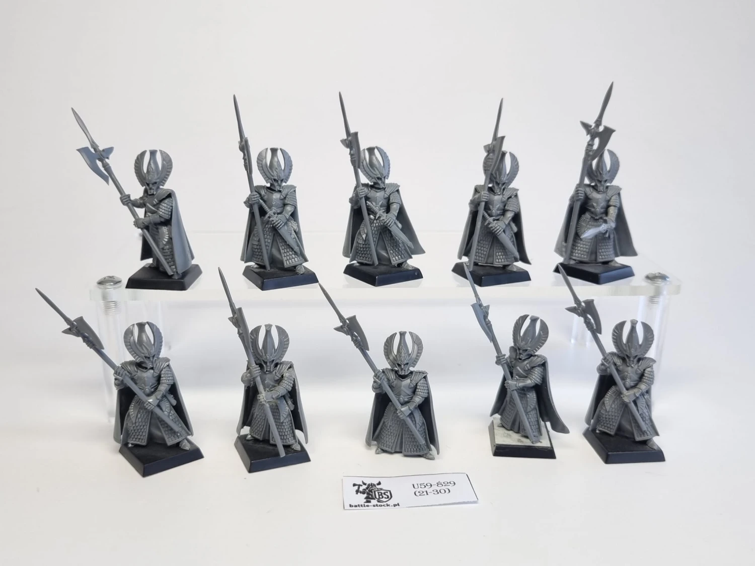 WFB phoenix guard plastic