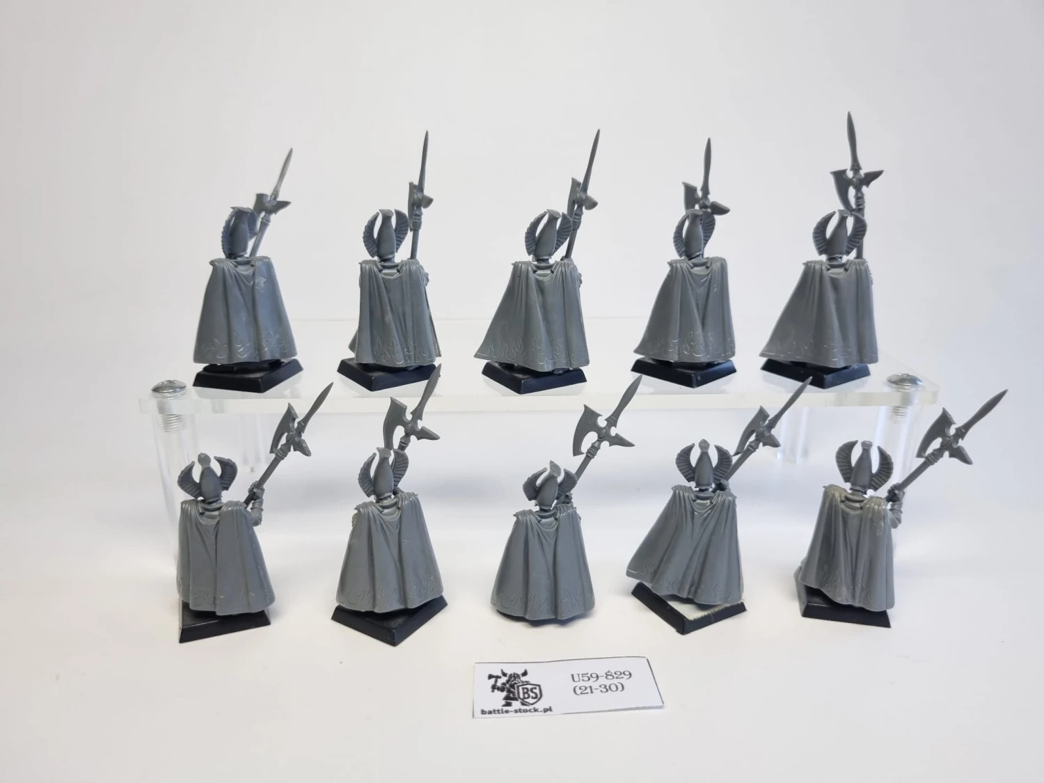 WFB phoenix guard plastic