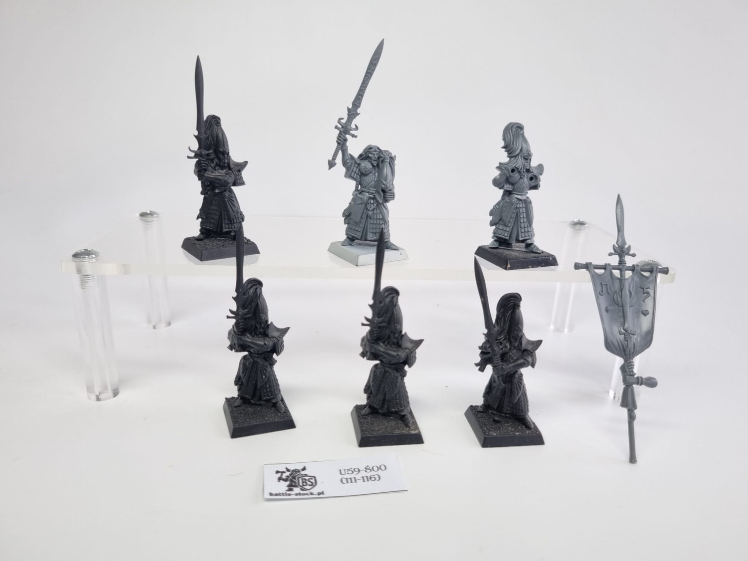 Malowane figurki  WFB swordmasters of hoeth na szarym tle przodem