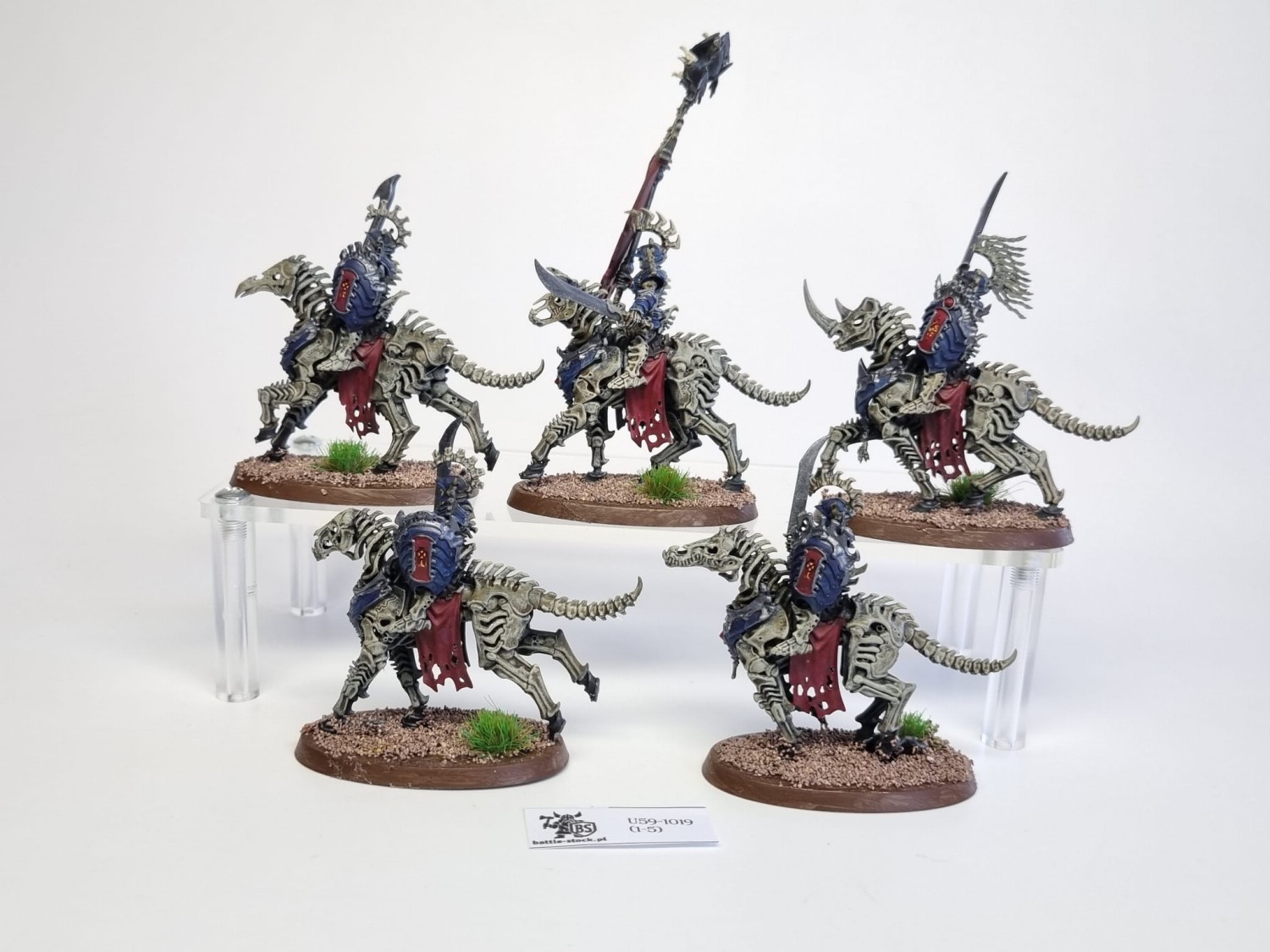 AoS Kavalos Deathriders