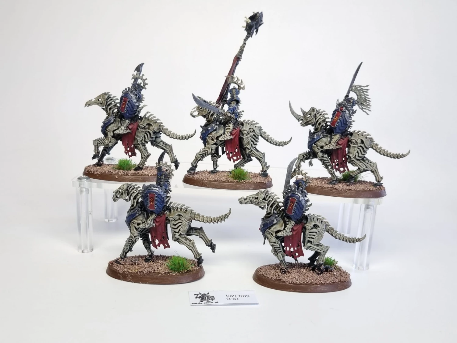 AoS Kavalos Deathriders