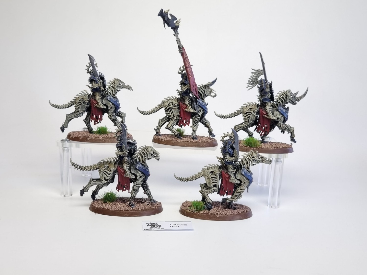 AoS Kavalos Deathriders