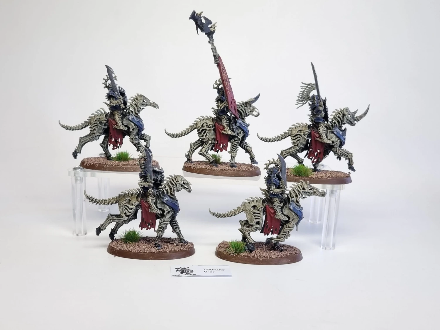 AoS Kavalos Deathriders