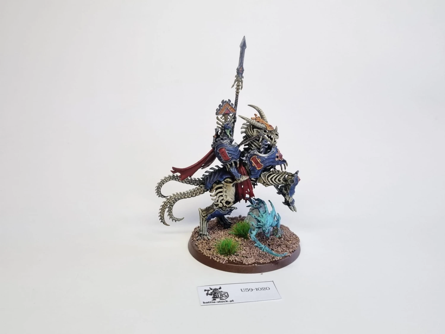 AoS arch kavalos zandtos