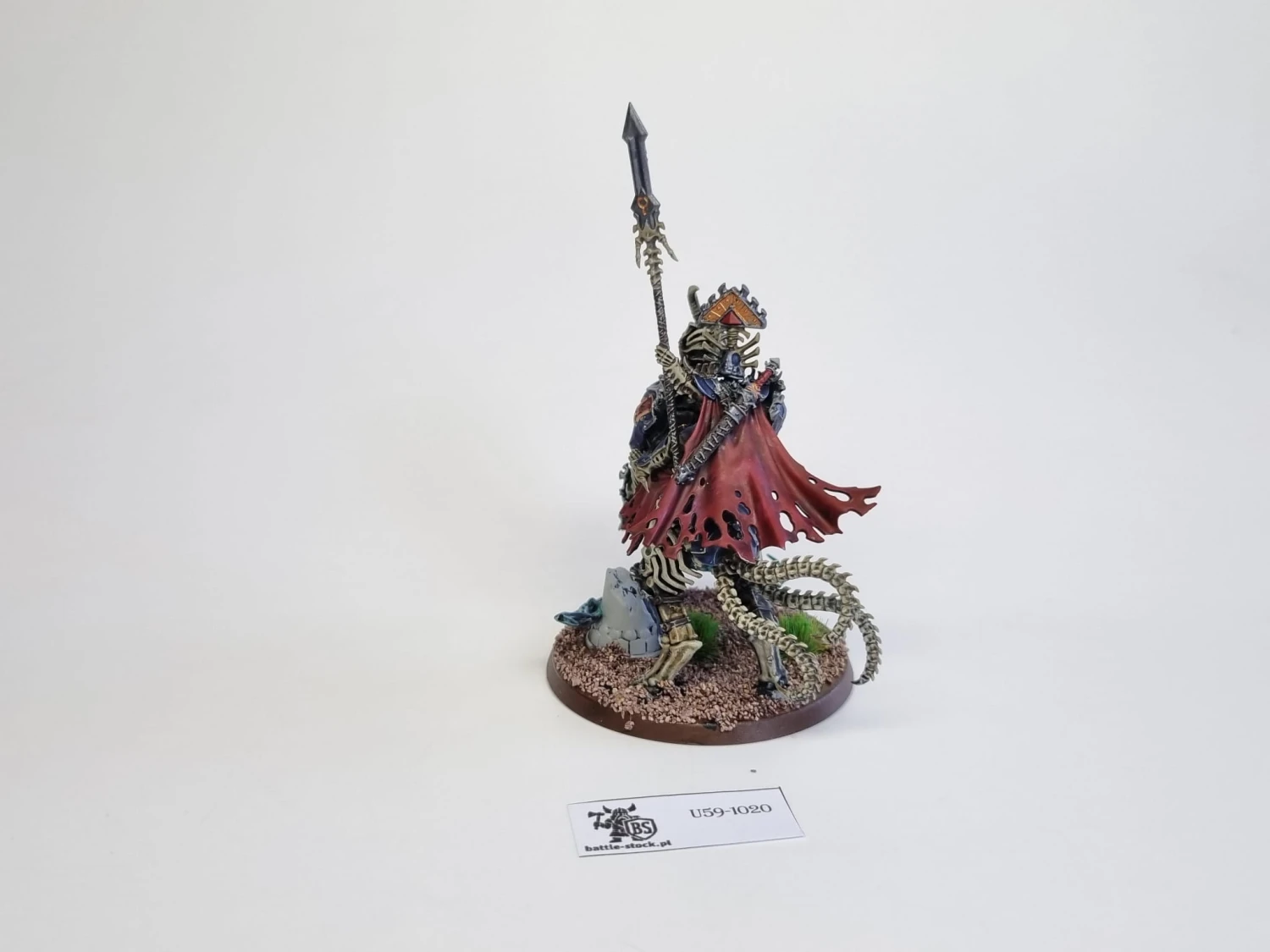AoS arch kavalos zandtos