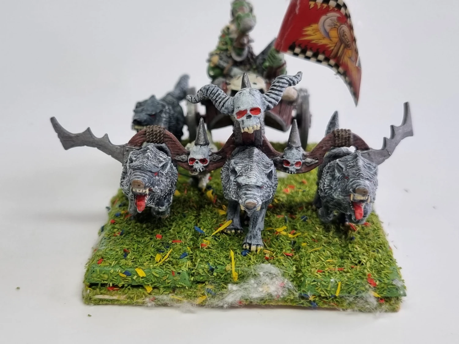 WFB grom the paunch