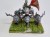 WFB grom the paunch