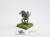 WFB orc