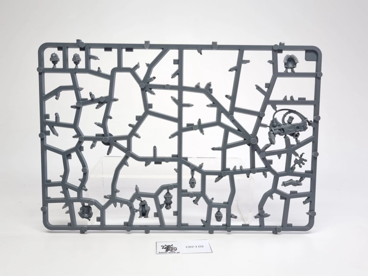 BITSY po zestawie noise marines