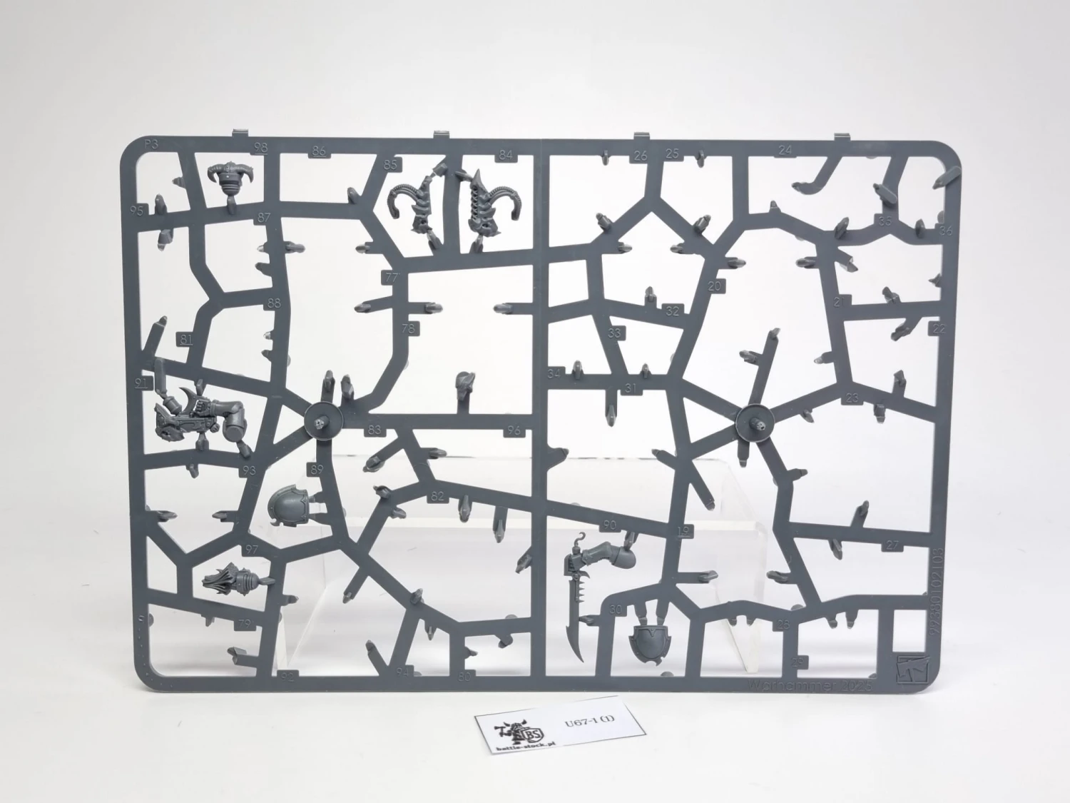 BITSY po zestawie noise marines