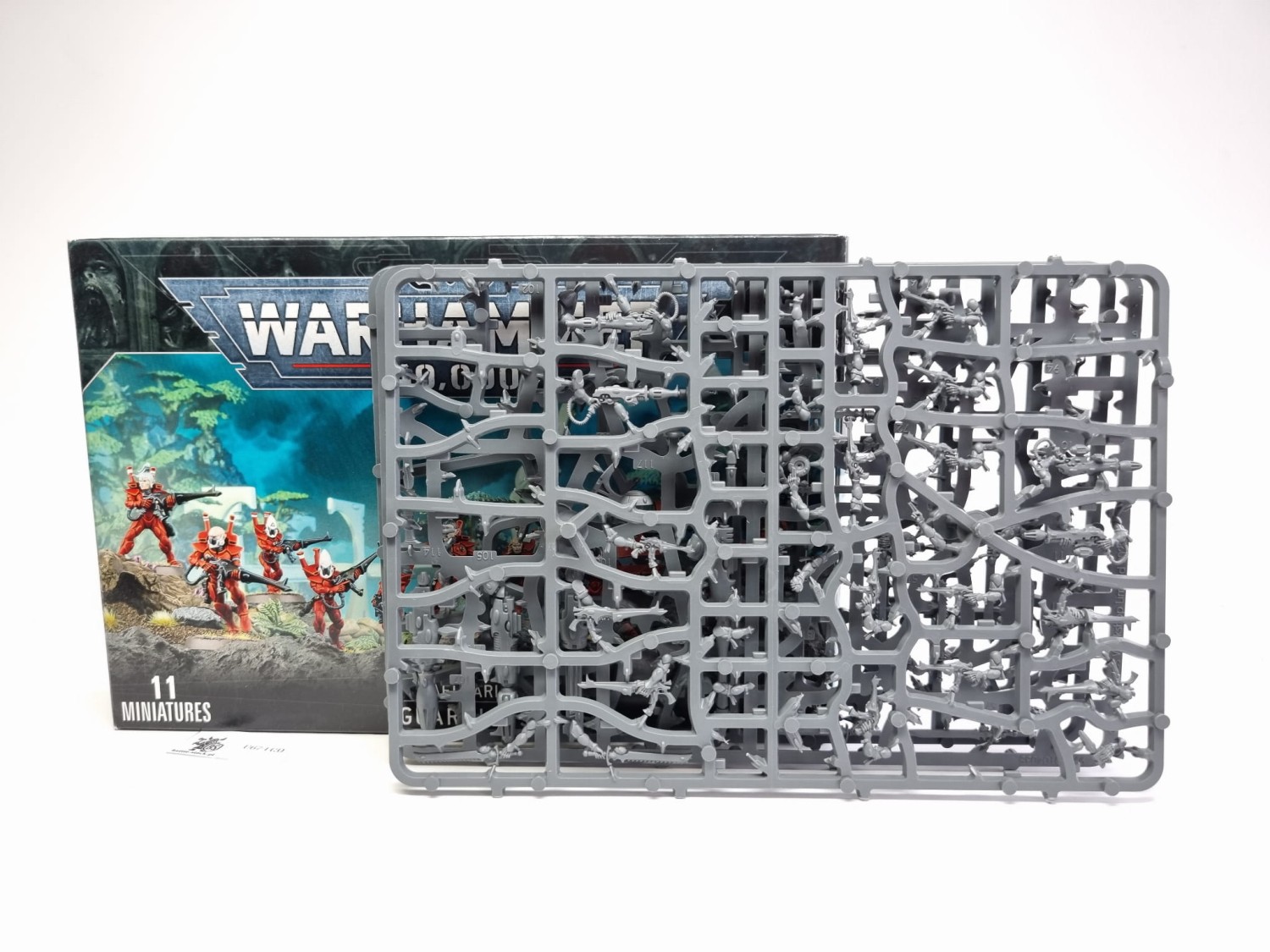 BITSY po zestawie eldar warriors