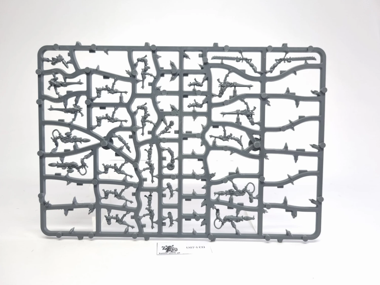 BITSY po zestawie eldar warriors