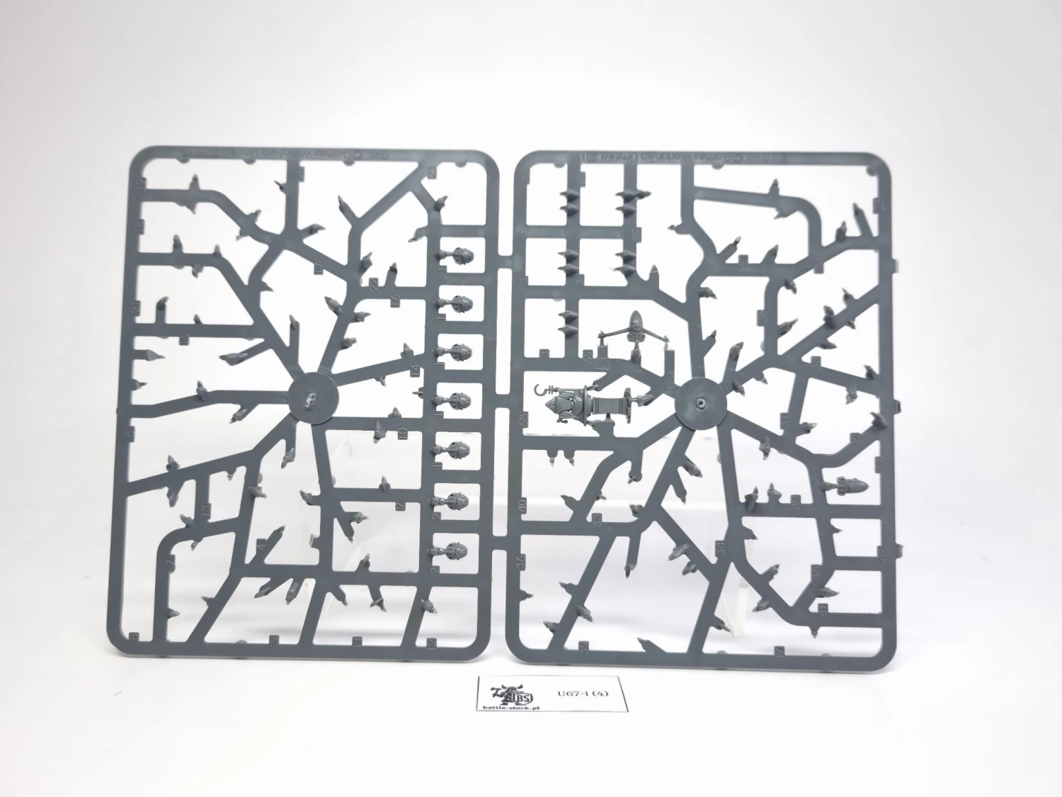 BITSY po zestawie banshee