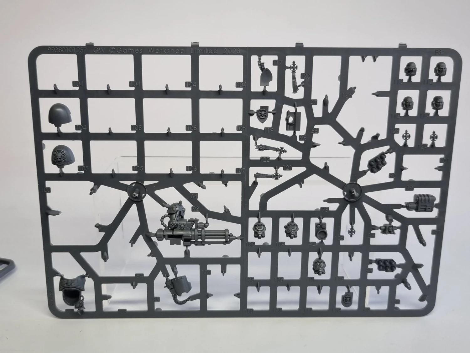 BITSY po zestawie terminators