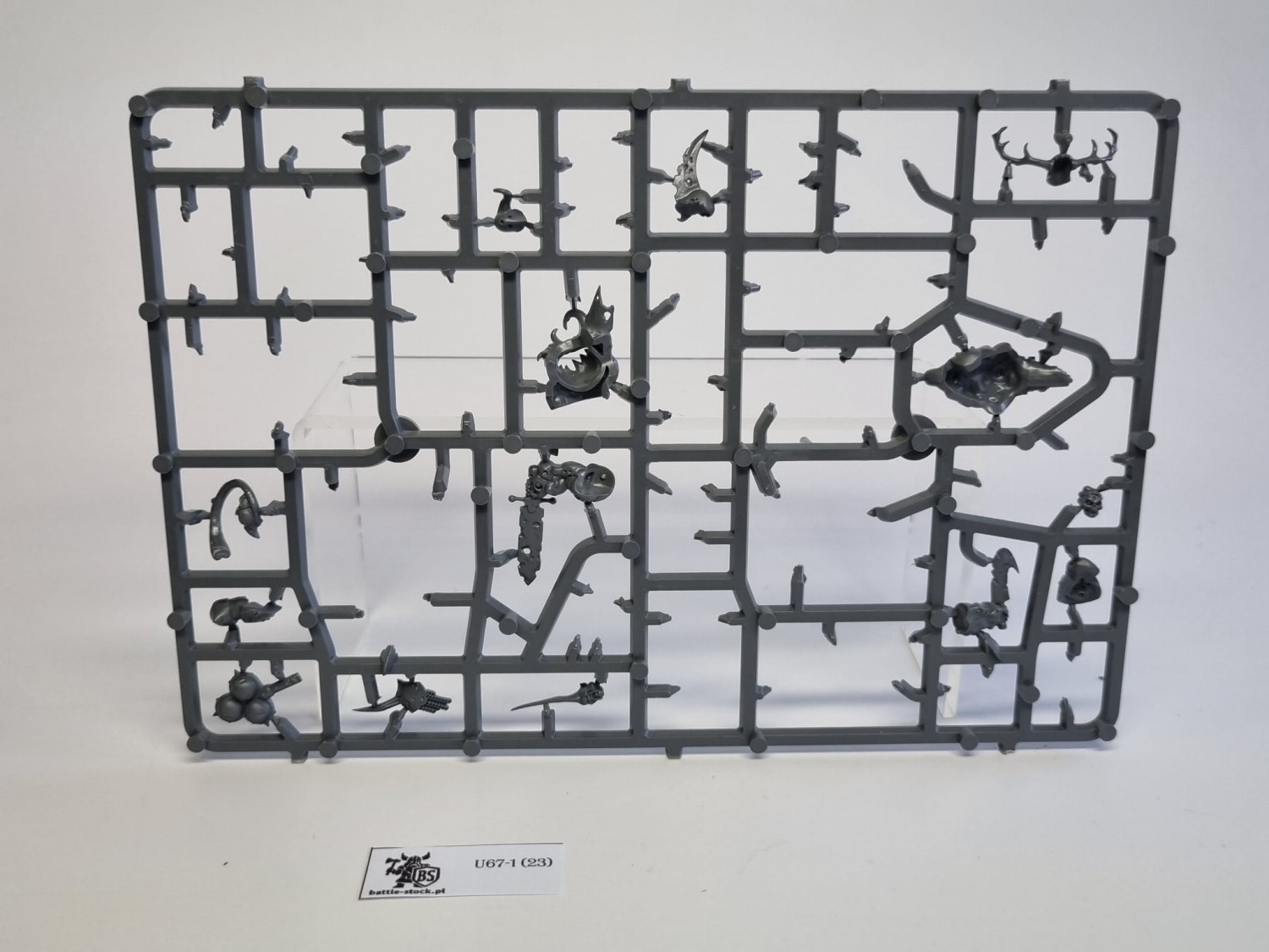 BITSY po zestawie Putrid