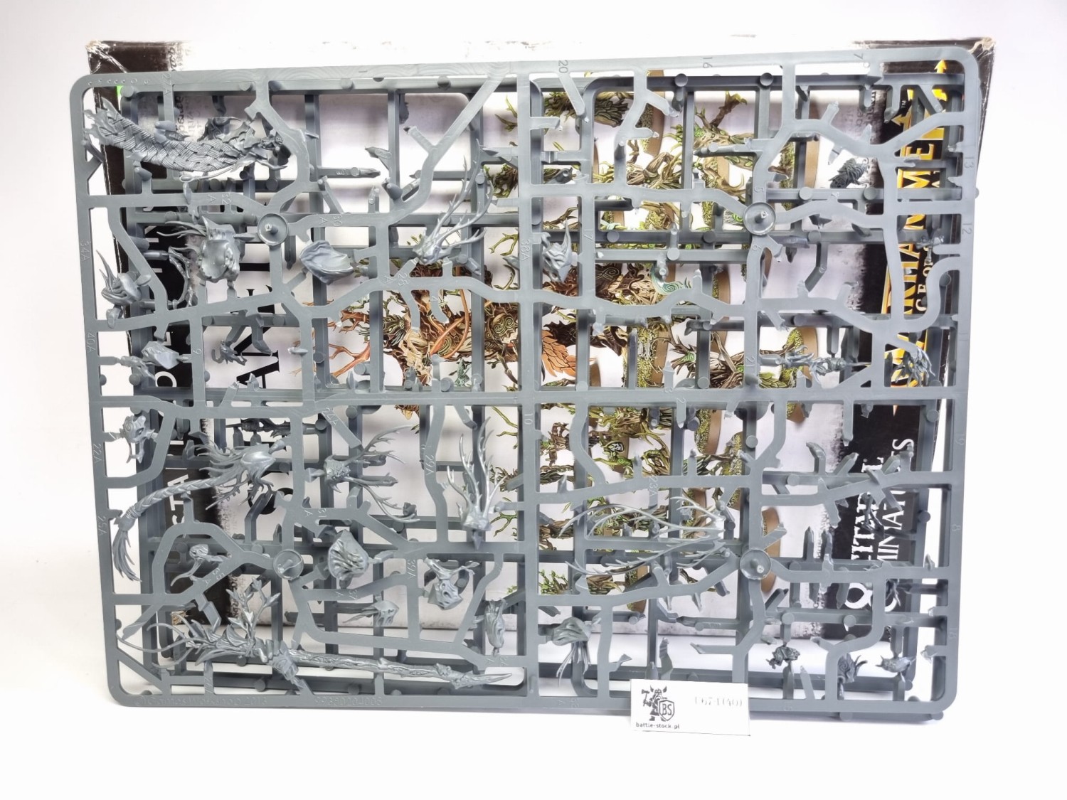 BITSY po zestawie sylvaneth