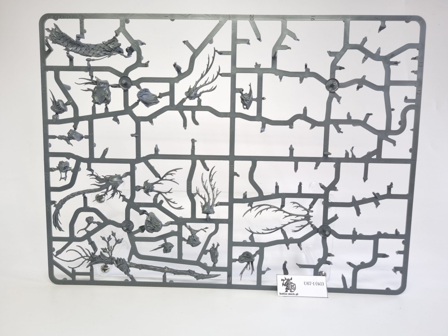 BITSY po zestawie sylvaneth