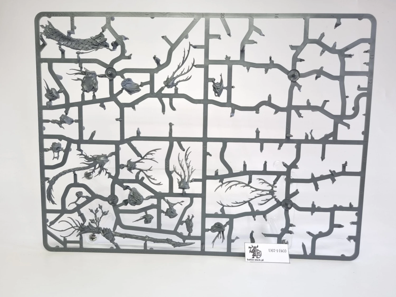 BITSY po zestawie sylvaneth