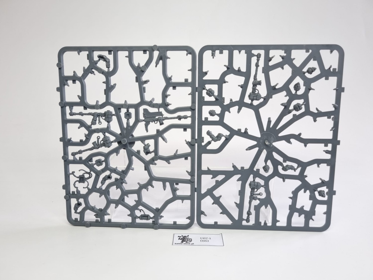 BITSY po zestawie cthonian beserks