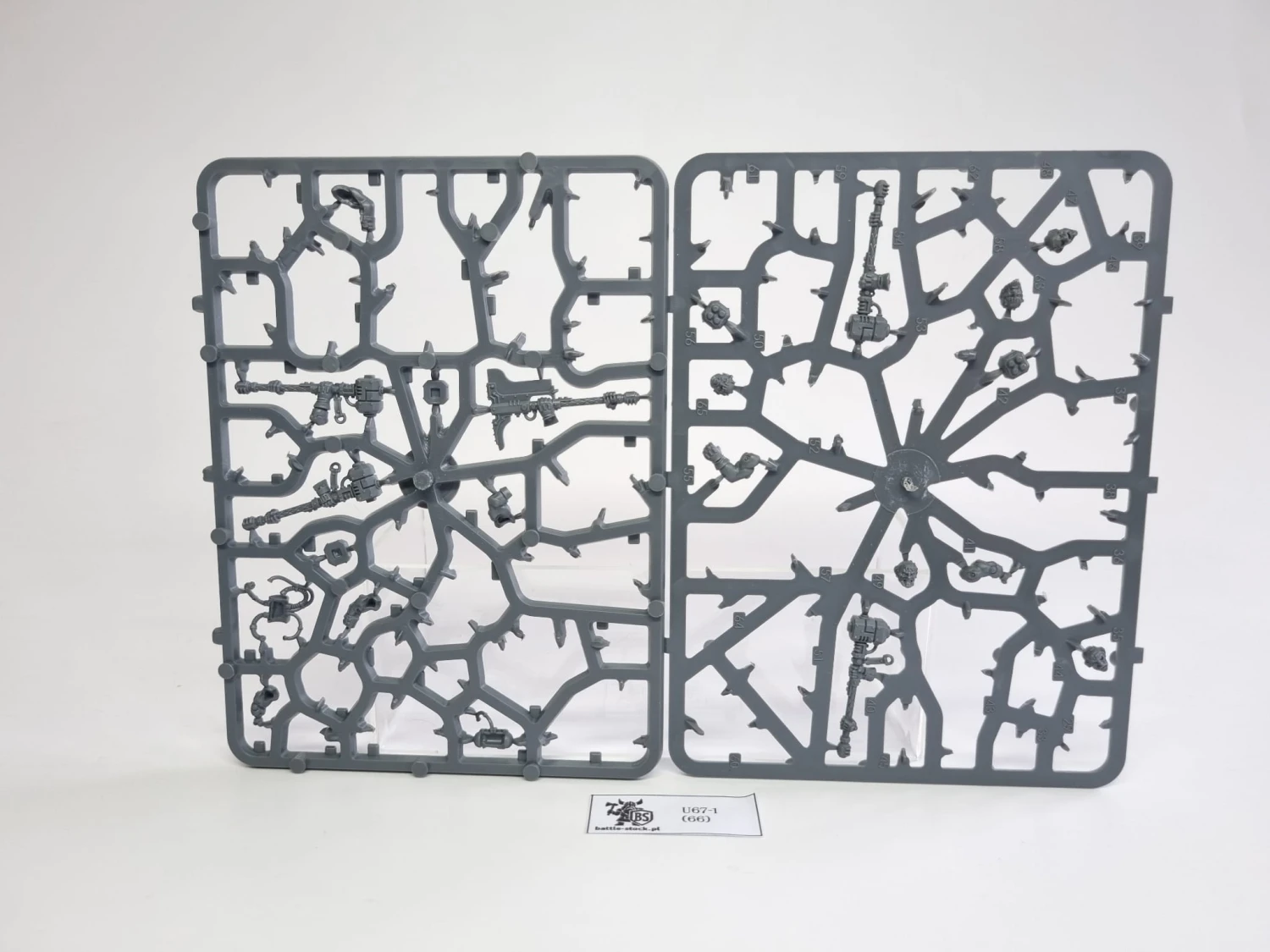 BITSY po zestawie cthonian beserks