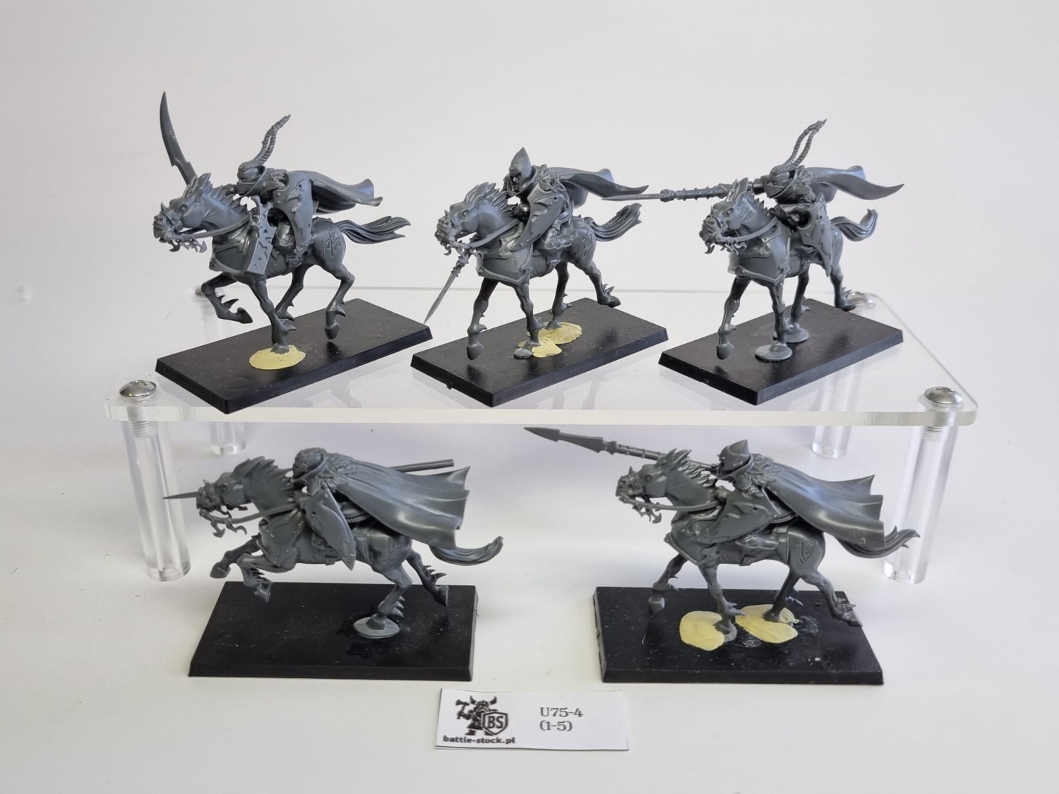 AoS dark riders