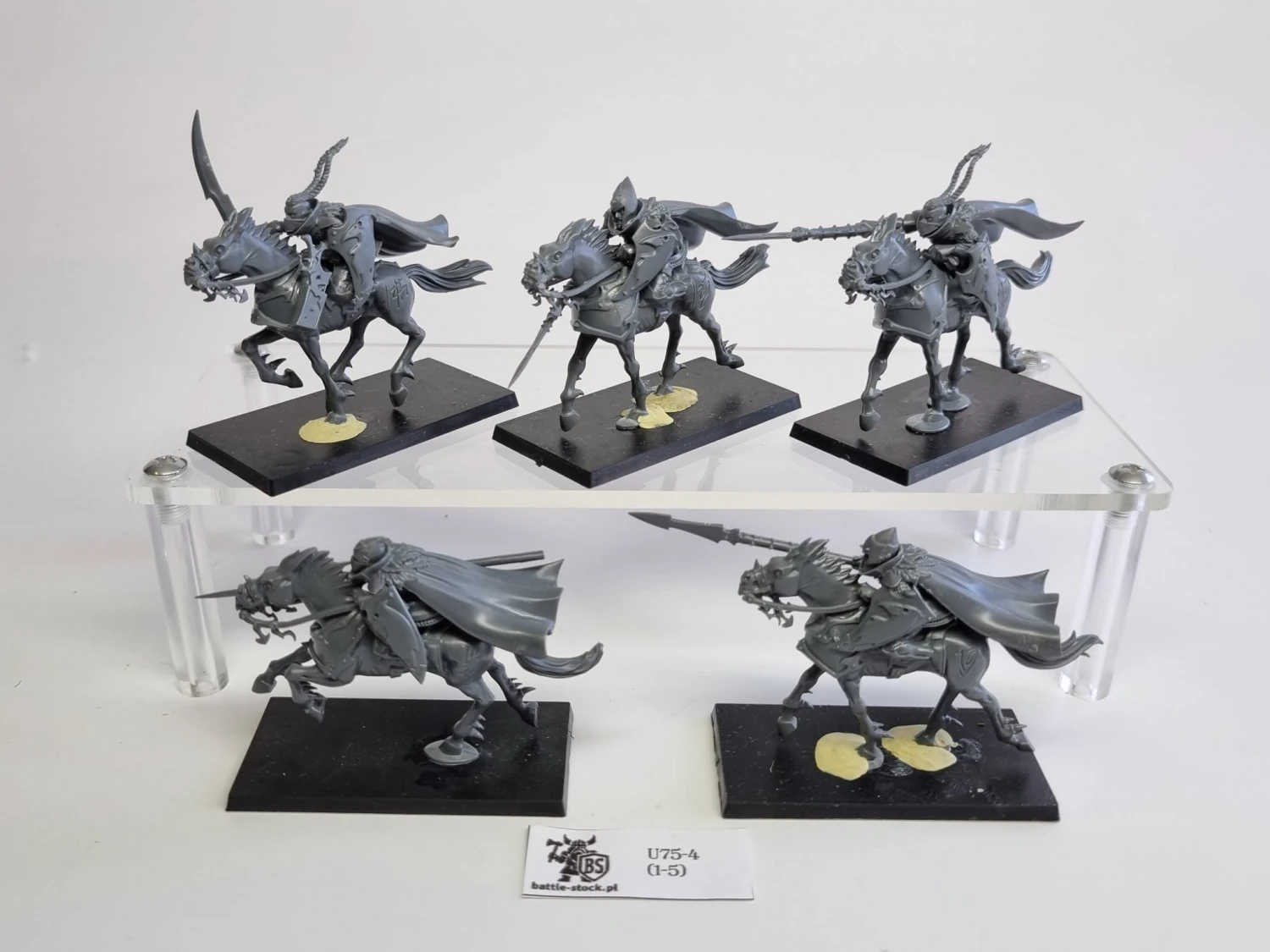 AoS dark riders