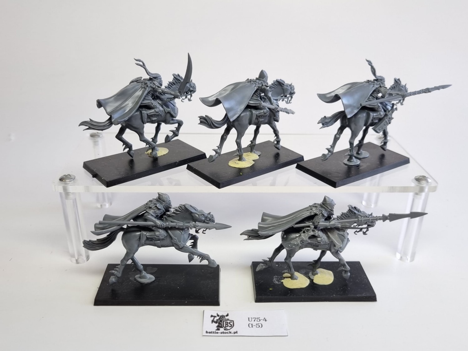 AoS dark riders