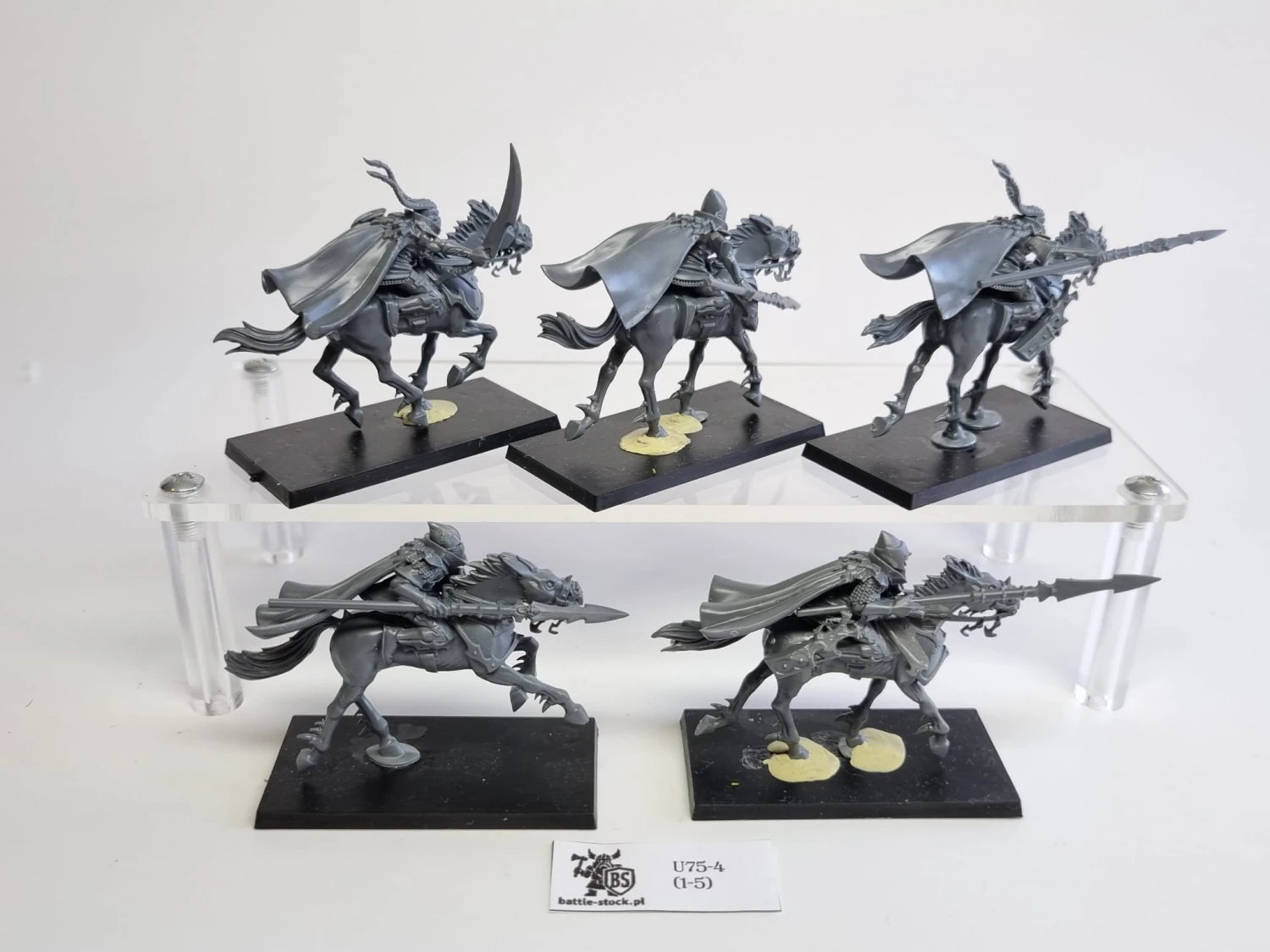 AoS dark riders