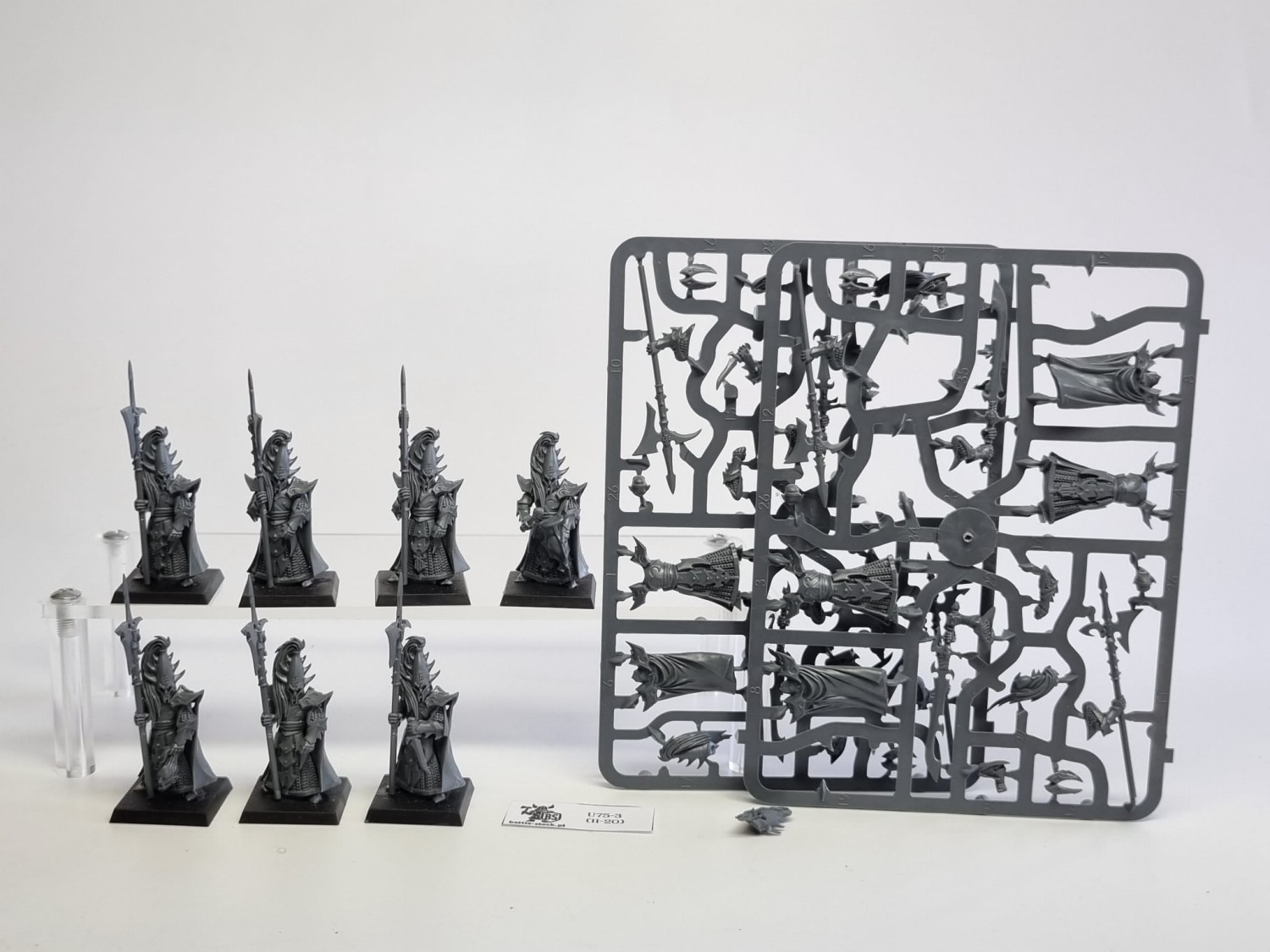 AoS executtioners / black guard