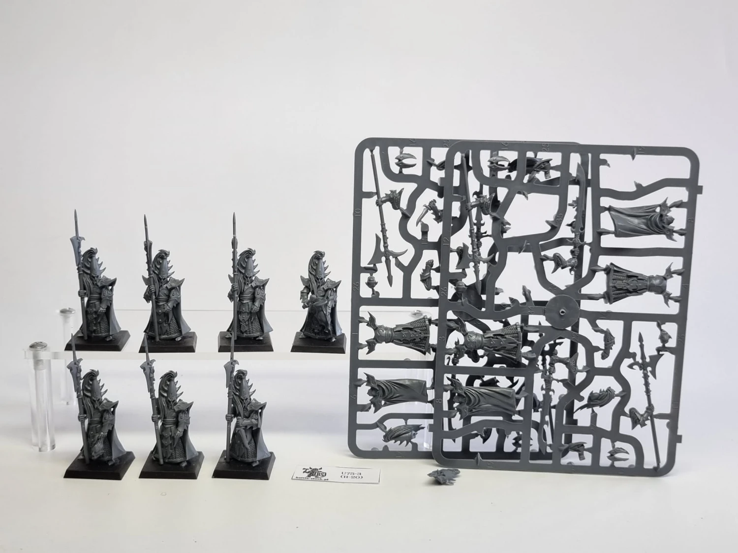 AoS executtioners / black guard