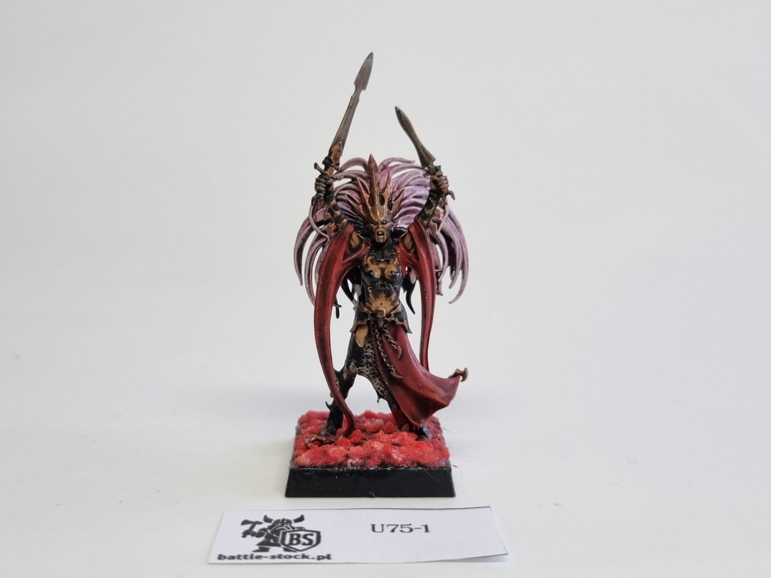 AoS wiedzma z cauldrona