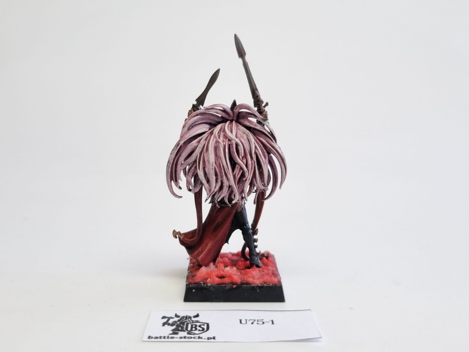AoS wiedzma z cauldrona