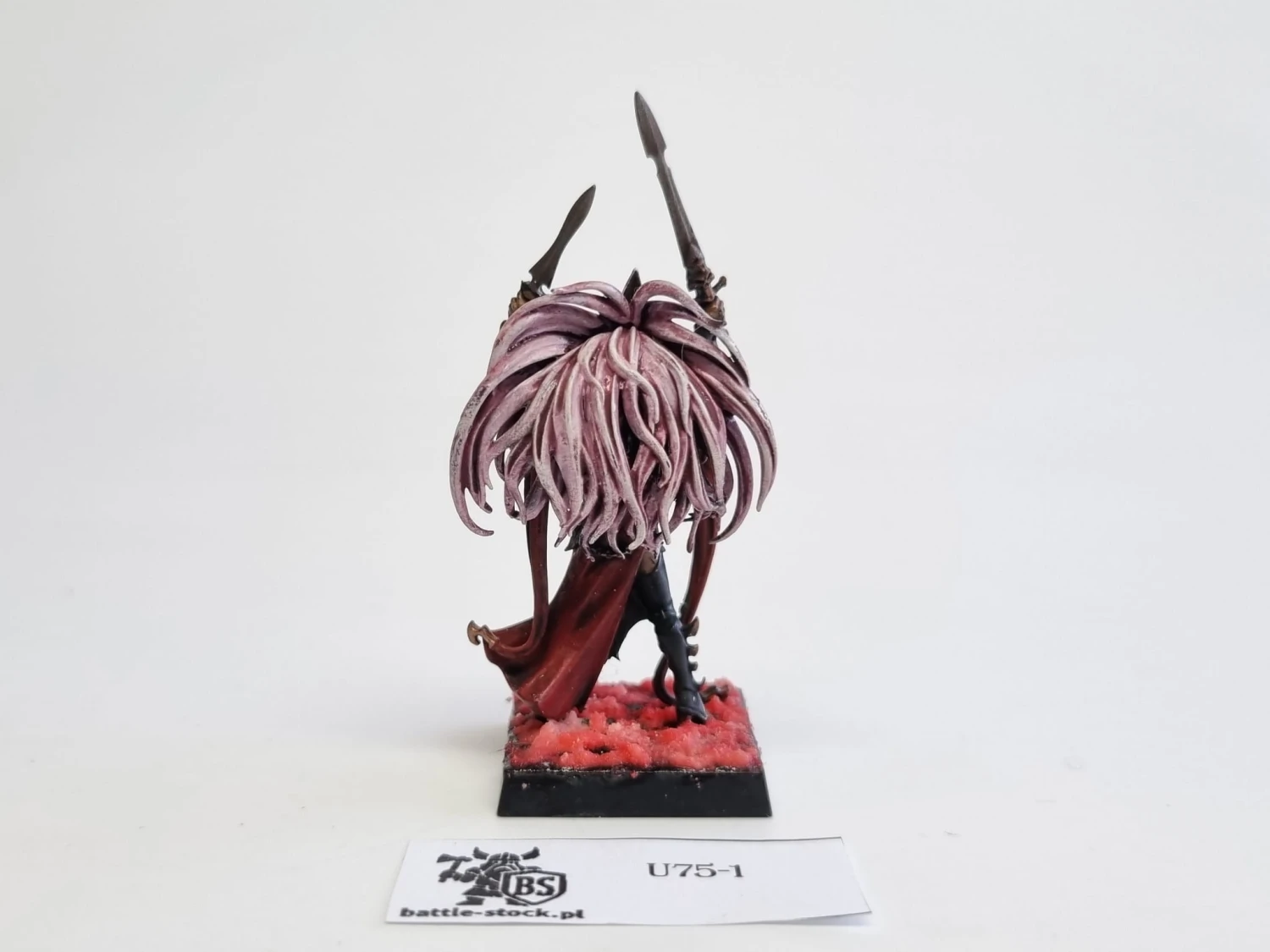 AoS wiedzma z cauldrona