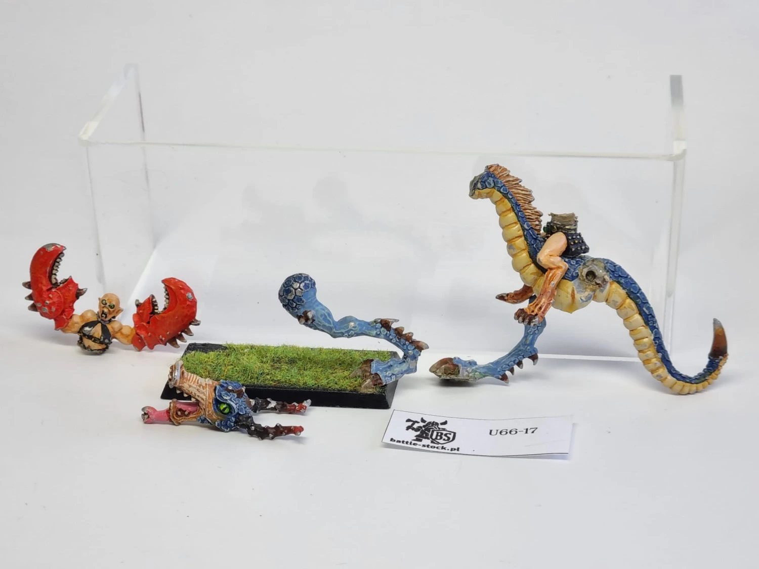 WFB demonetka konna