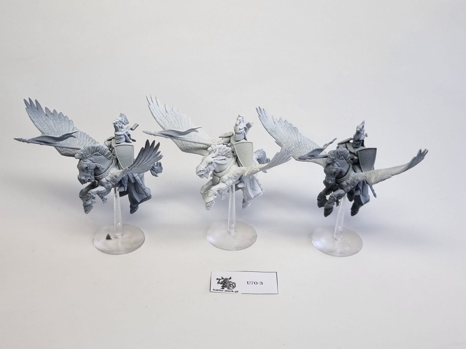 WFB Pegasus knights
