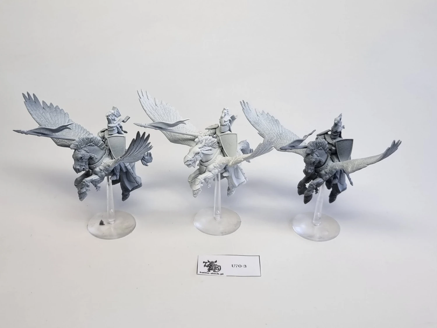 WFB Pegasus knights