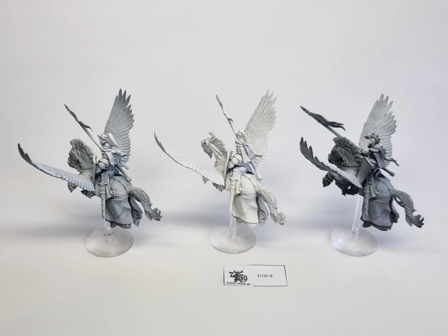 WFB Pegasus knights