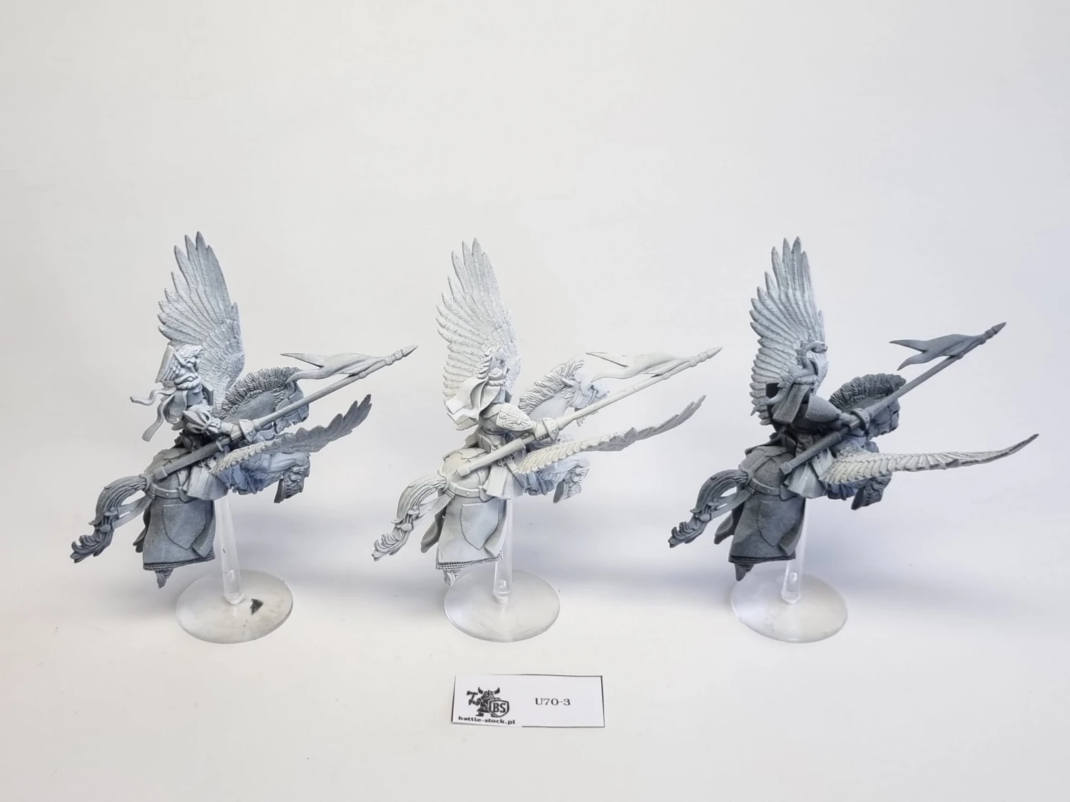 WFB Pegasus knights