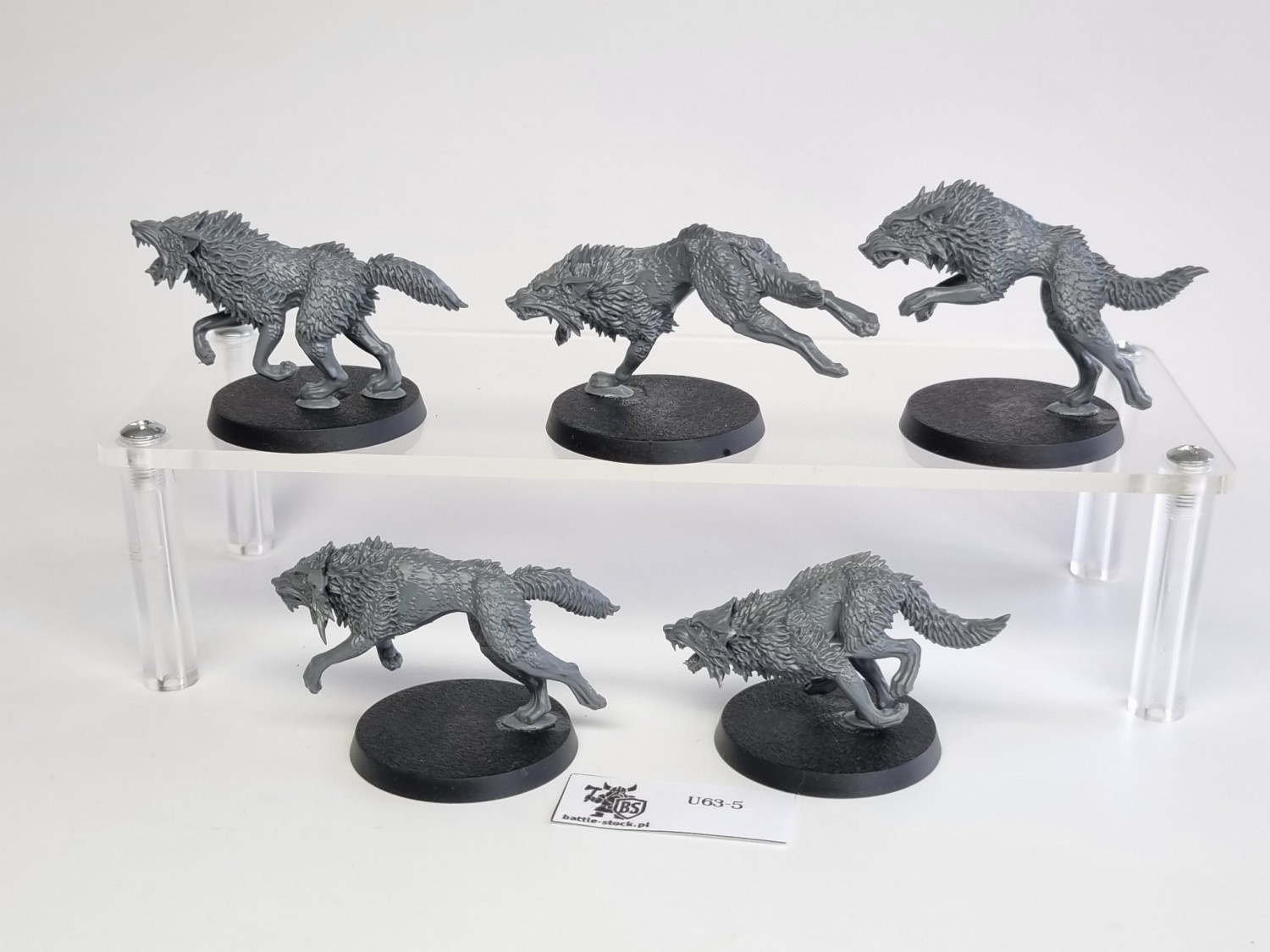 40k fenrisian wolves