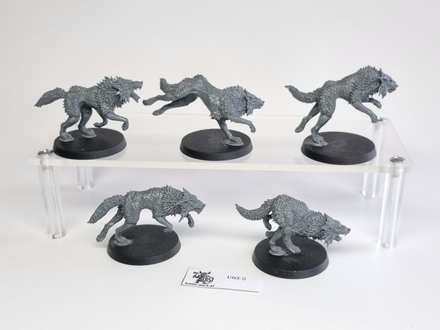 40k fenrisian wolves