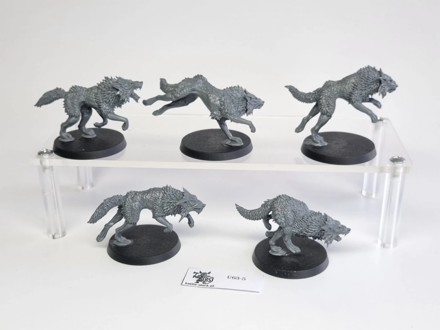 40k fenrisian wolves