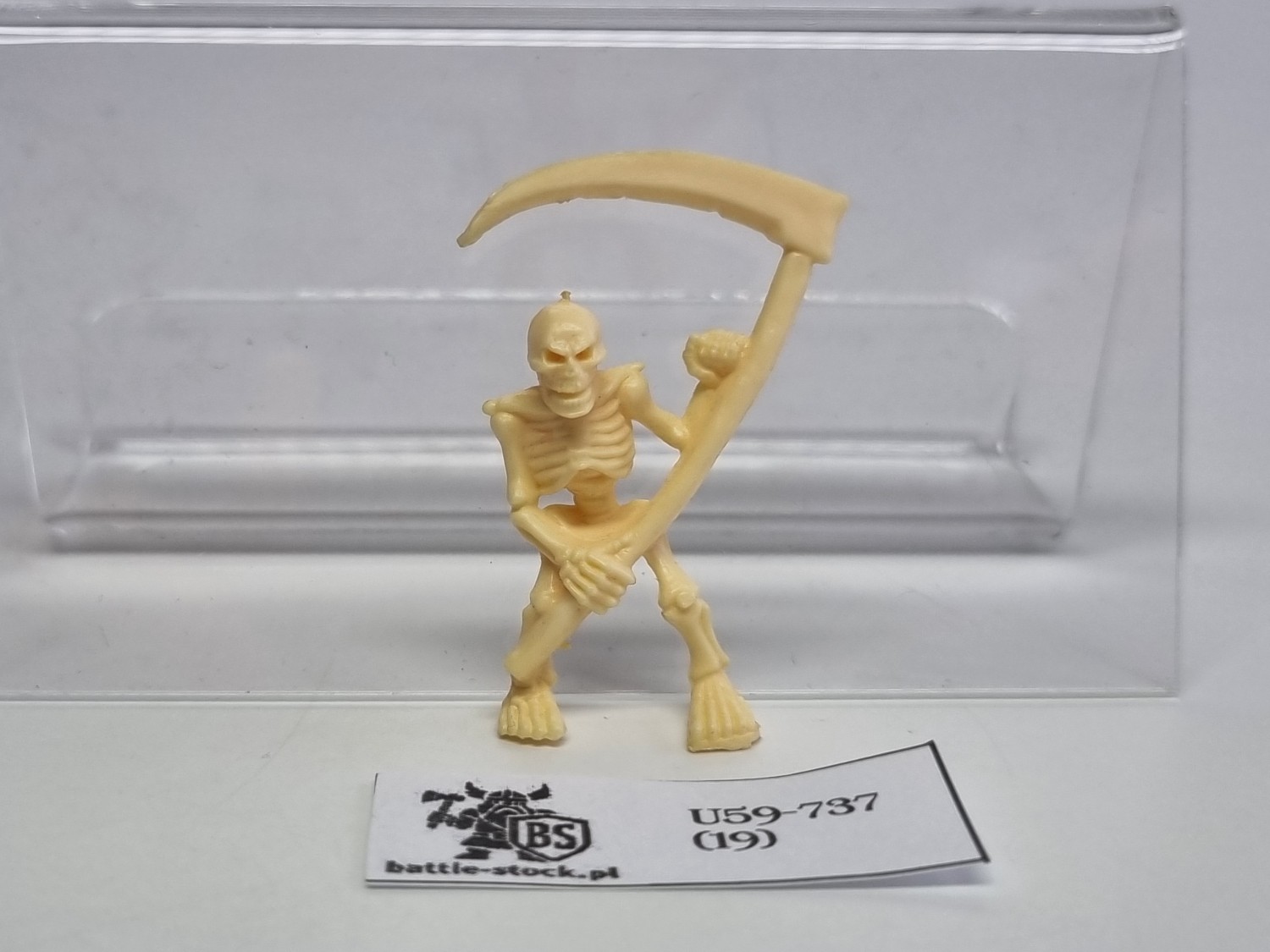warhammer quest szkielet