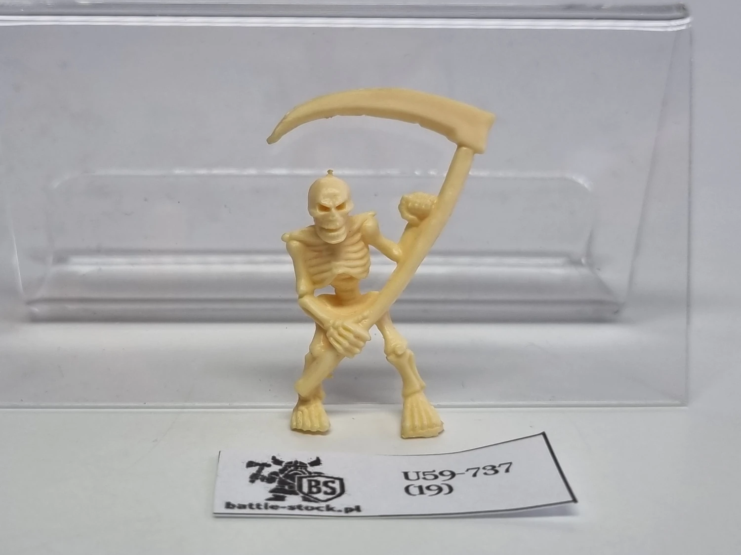warhammer quest szkielet