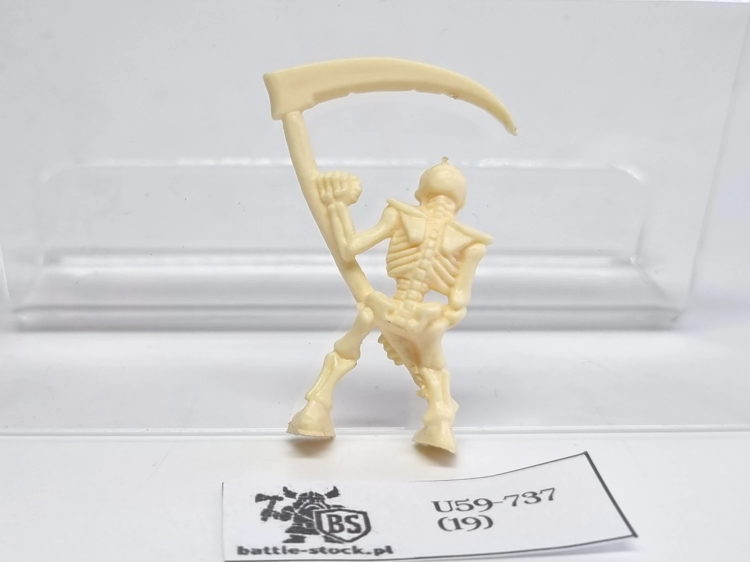 warhammer quest szkielet