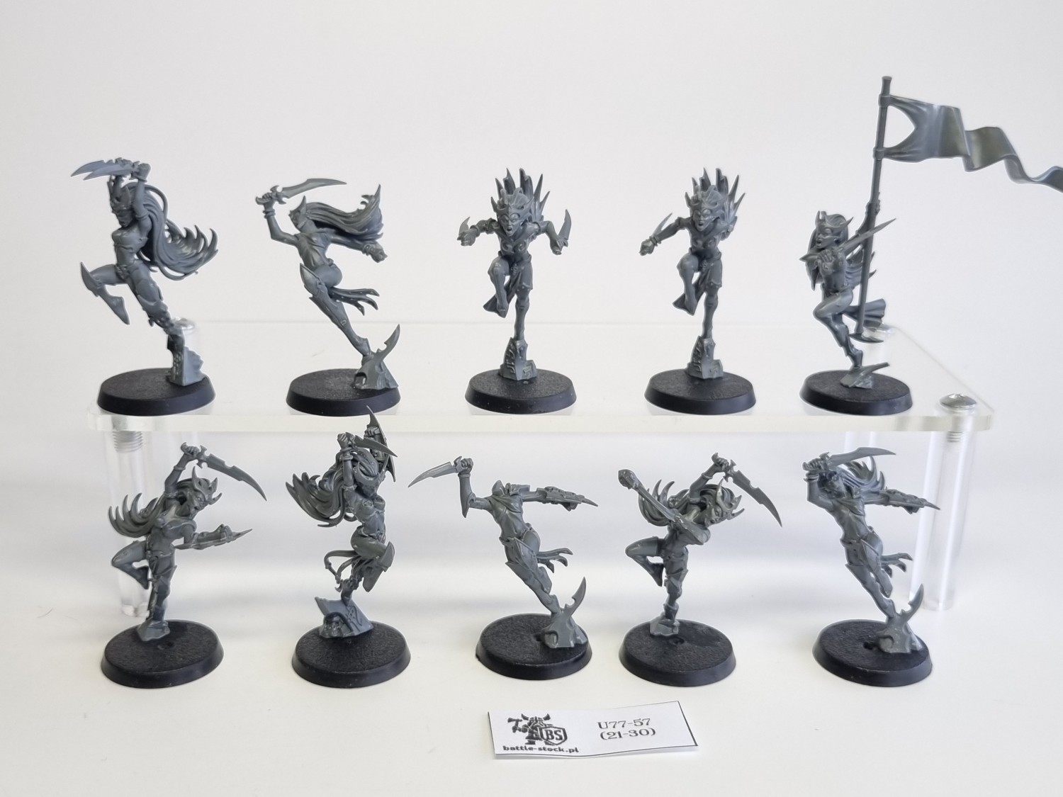 AoS witch aelves