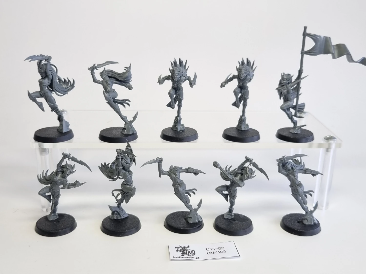 AoS witch aelves