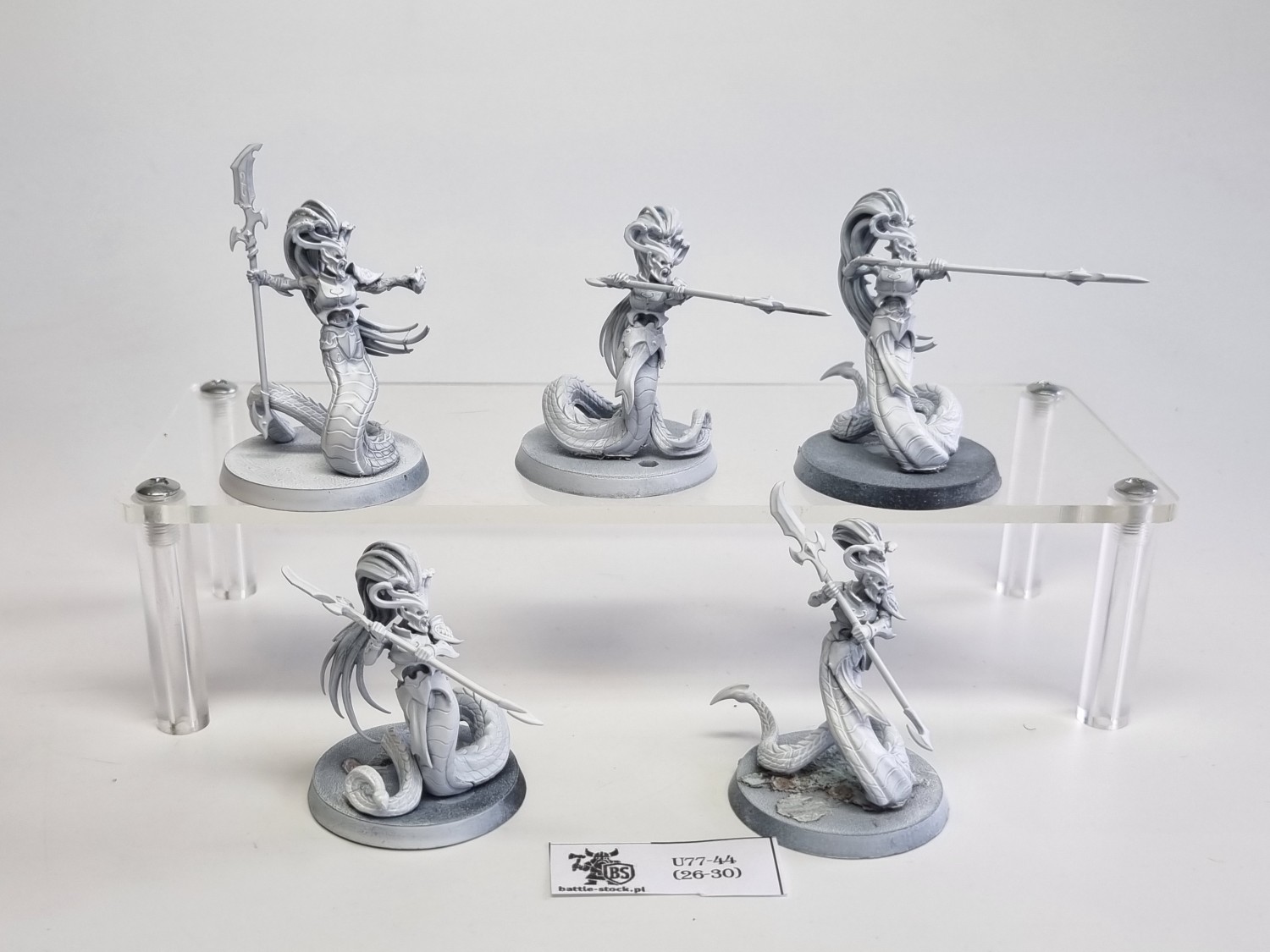 AoS blood stalkers / sisters
